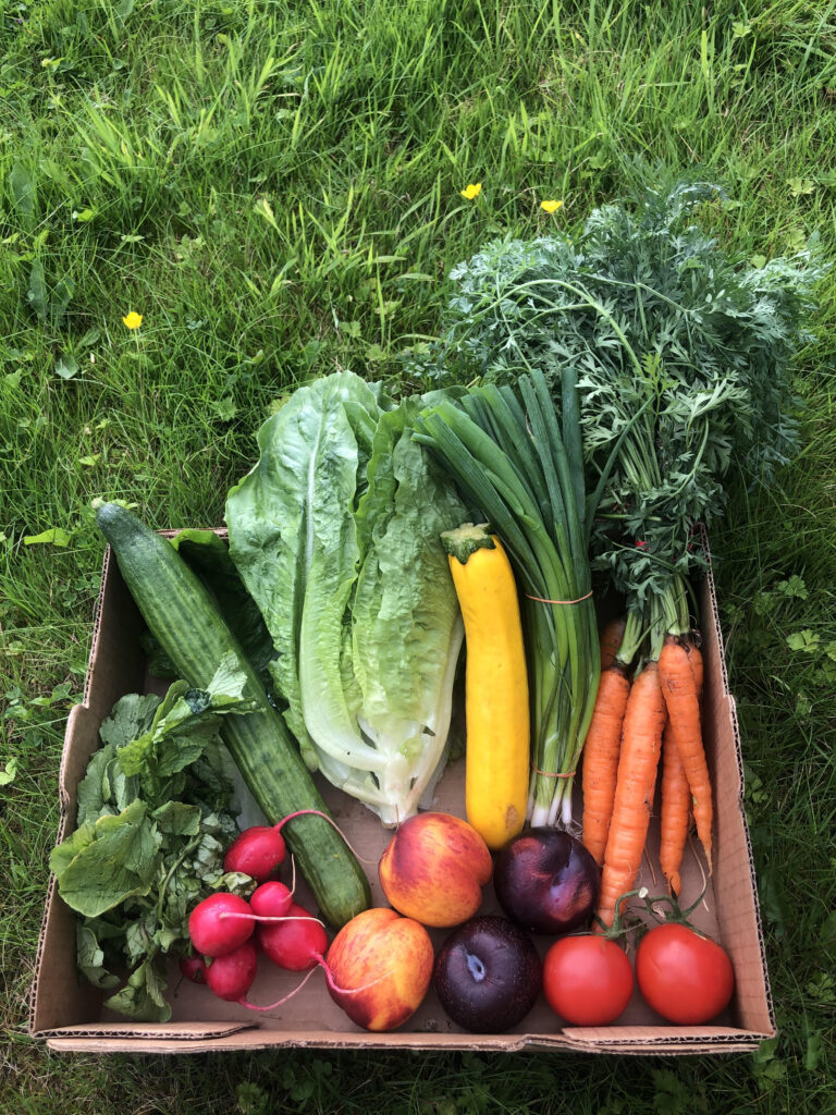 A box of colourful produce.