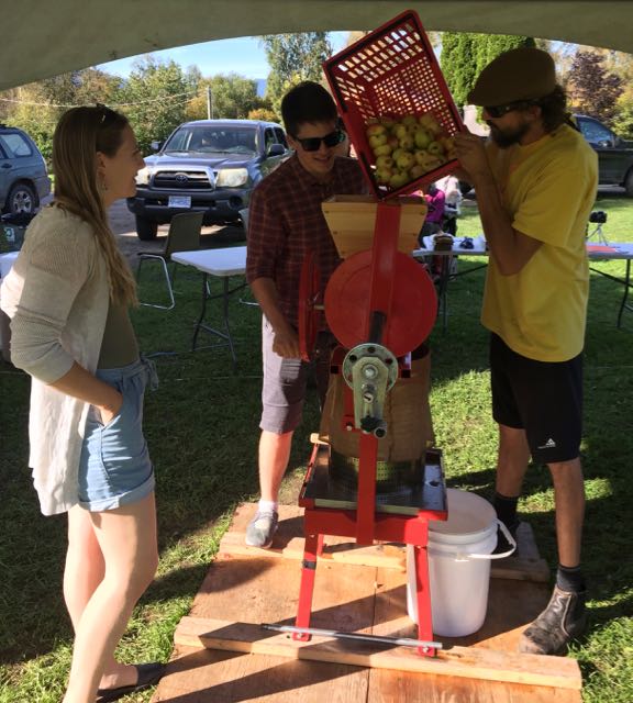 A group of people pour apples into a grinder.